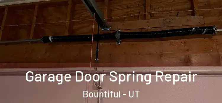  Garage Door Spring Repair Bountiful - UT